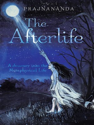 cover image of The Afterlife